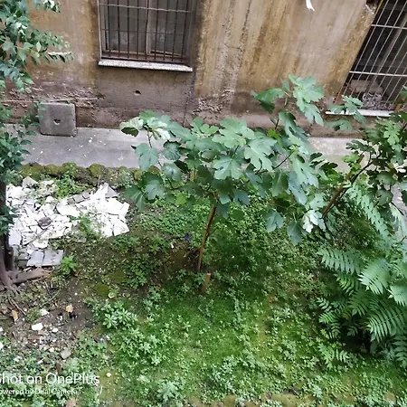 Гостевой дом Conte Verde